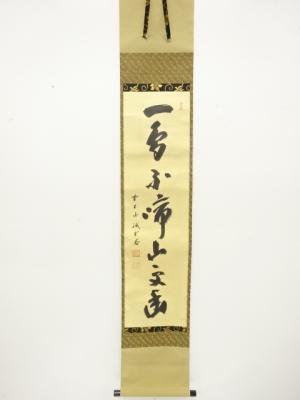 前大徳　藤井誡堂筆　一行書　肉筆紙本掛軸